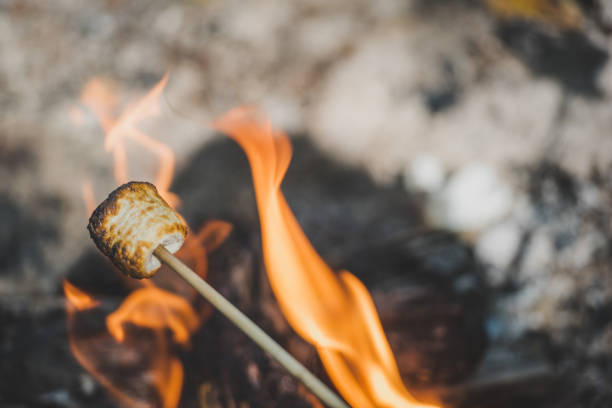 asando malvaviscos sobre una fogata. - fire pit fire camping burning fotografías e imágenes de stock