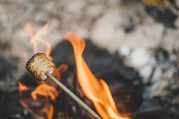 キャンプの火の上にマシュマロを焼く。