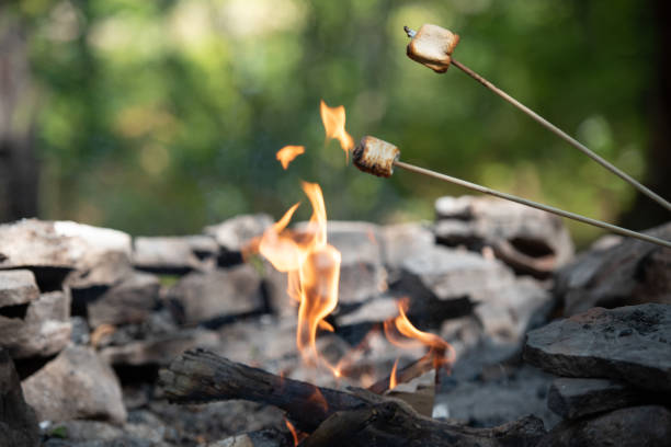 Roasting Marshmallows over a camp fire. stock photo