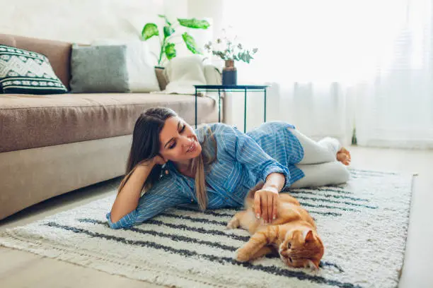 Photo of Playing with cat at home. Young woman lying on carpet and teasing pet.