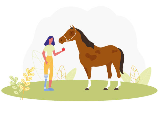 Cartoon Woman with Prosthetic Leg Feed Apple Horse Cartoon Woman with Prosthetic Leg Feed Apple to Horse Vector Illustration. Girl with Prosthesis Limb Foot. Horseriding Lesson. Disabled Rehabilitation, Handicapped Recovery. Animal Farm Rehab woman on exercise machine stock illustrations