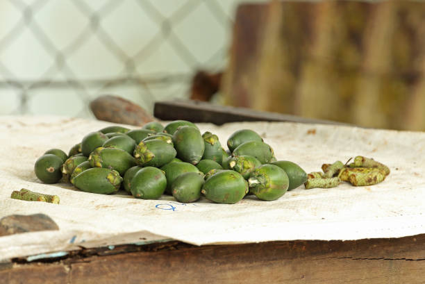 betel nuts in vendita - noce di areca foto e immagini stock