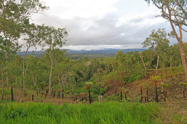 istock view over cleared land on a cloudy day 1176838987