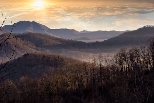 istock Winter Morning in North Carolina 1176839432