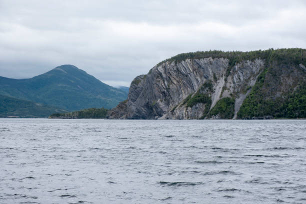 istock Bonne Bay Viewed from Norris Point, Newfoundland 1176840388