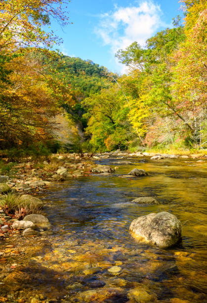 istock Landscape in North Carolina 1176840740