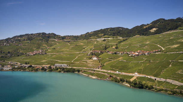 istock vine terraces lavaux aerial view 1176840992