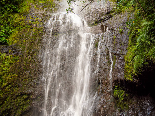 istock Close Up Hawaiian Waterfall in Maui 1176841210