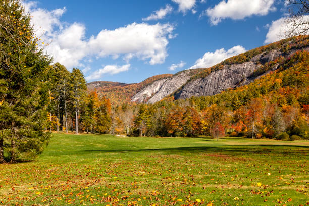 mountain range in north carolina - blue ridge mountains appalachian mountains appalachian trail forest stock-fotos und bilder