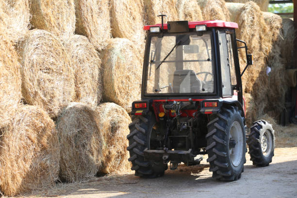 istock Straw bales at rural horse farm 1176844246