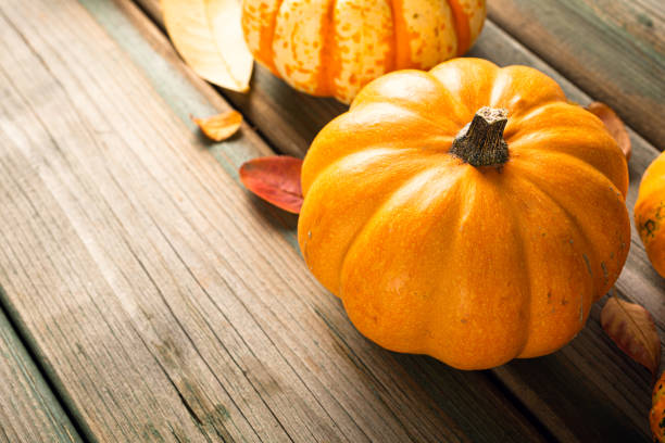 Autumn pumpkin thanksgiving background, assorted pumpkins over green wooden table. Copy space.
