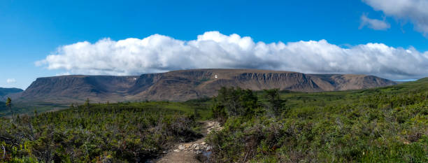 istock Panoramic View of Tablelands in Gros Morne National Park 1176844511