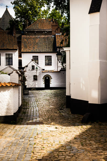 istock Alley amidst houses 1176845356