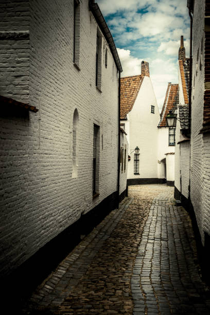 istock Alley at Leuven Beguinage 1176845451