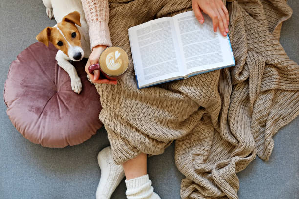 mujer irreconocible sentada en casa con su perrito mascota en el sofá con vista interior parcial. - people dog winter cute fotografías e imágenes de stock