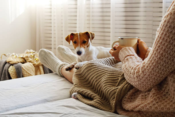 istock Unrecognizable female sitting at home with her pet doggy on sofa with partial interior view. 1176846212