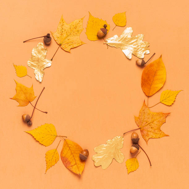istock Autumn leaves on a pastel background, copy space 1176846290
