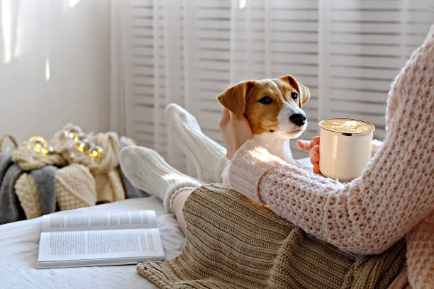 istock Unrecognizable female sitting at home with her pet doggy on sofa with partial interior view. 1176846320