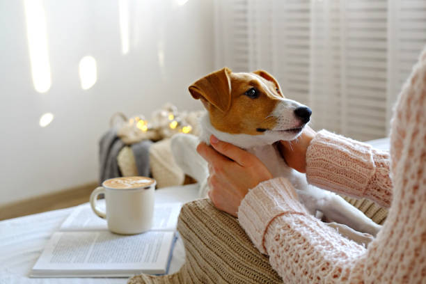 istock Unrecognizable female sitting at home with her pet doggy on sofa with partial interior view. 1176846324