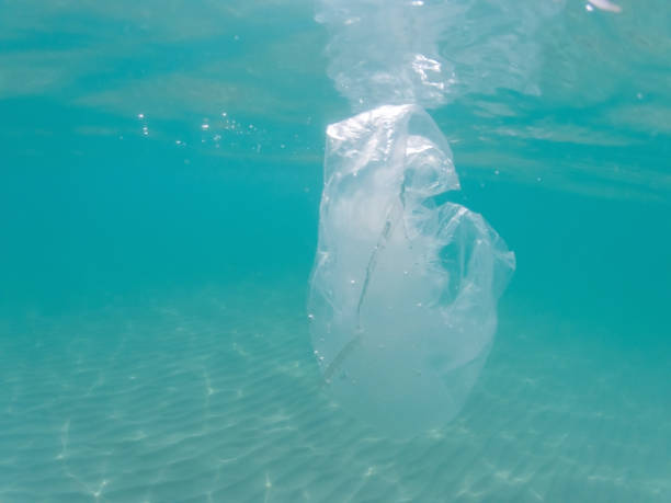 istock Plastic bag floating in the ocean, underwater waste. Ocean pollution concept. Global environmental problem. Copy space. 1176847695