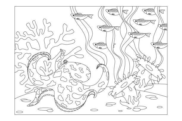 illustrations, cliparts, dessins animés et icônes de fond marin avec des habitants: poulpe, corail, algues, anémones de la mer, bancs de poissons. coloriage d'image des enfants. vecteur - tentacled sea anemone