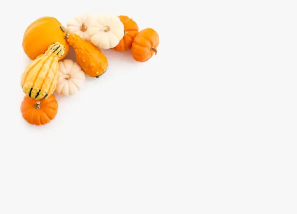 Pumpkins and squash and various gourds on a white background.