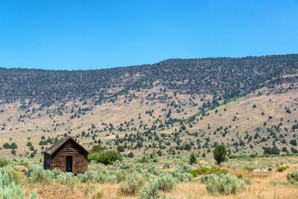 istock Abandoned Cabin with the Steens in the background 1176849609