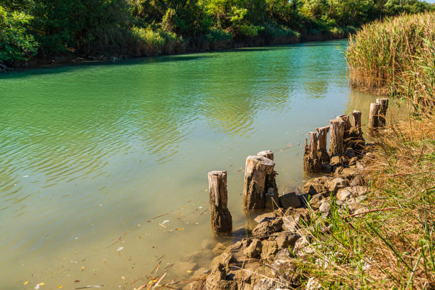 istock summer rural scenery in Venice province 1176850337