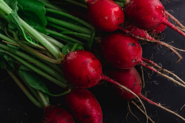 istock Fresh radish with foliage on a black background. 1176851105