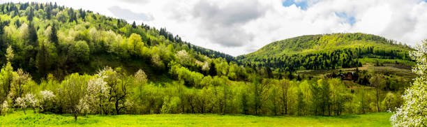 istock panorama of the Carpathian mountains 1176852578