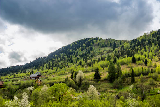 istock panorama of the Carpathian mountains 1176852619