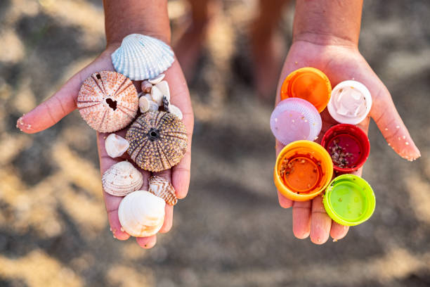 Close up hands holding plastics and sea shells