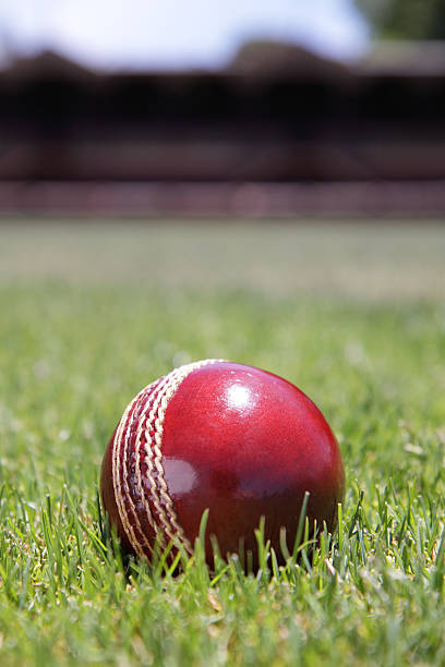 Pallina da Cricket. - foto stock