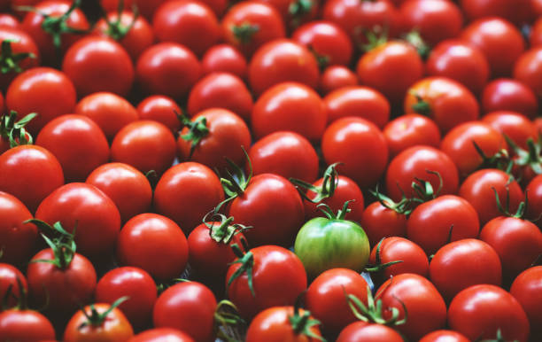 istock Cherry tomatoes on wooden table background 1176856208