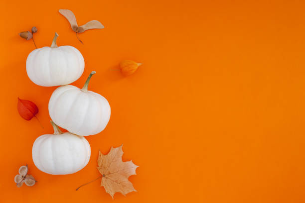 istock Autumn flat lay composition with white pumpkins 1176858420