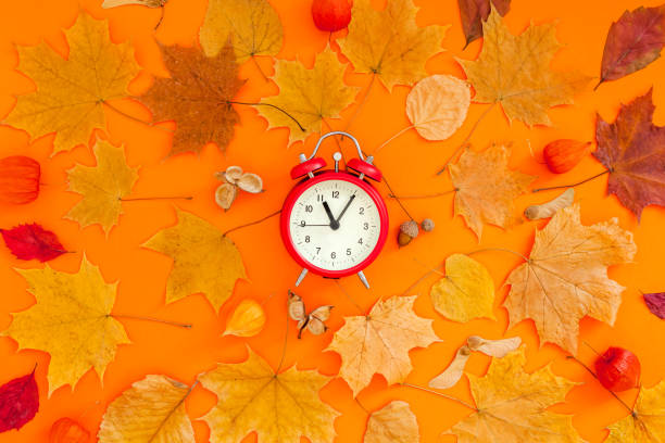 istock Autumn postcard with fall leaves and alarm clock 1176859299