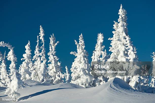 Winter Day Stock Photo - Download Image Now - Beauty, Blue, Climate