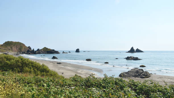 Parque Estadual Harris Beach - foto de acervo