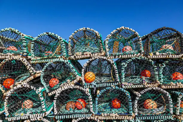 Photo of Lobster Pots