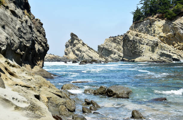 picture taken from Simpson beach in Shore Acres State Park, Oregon, USA.