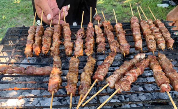 istock Souvlaki pork skewers 1176869778