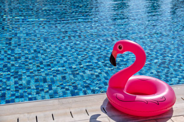 istock Pink flamingo inflatable in a swimming pool 1176869877