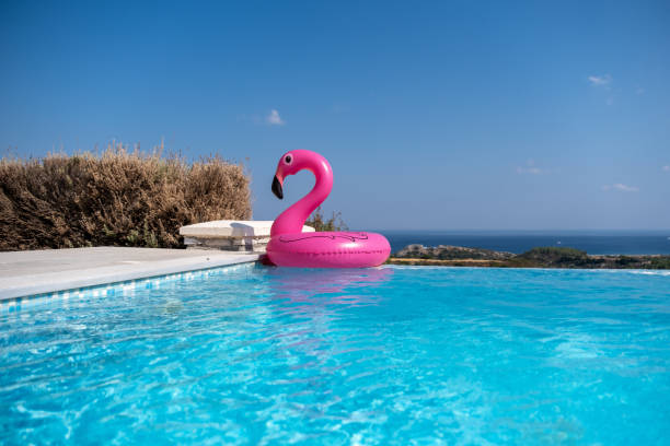 istock Pink flamingo inflatable in a swimming pool 1176869919
