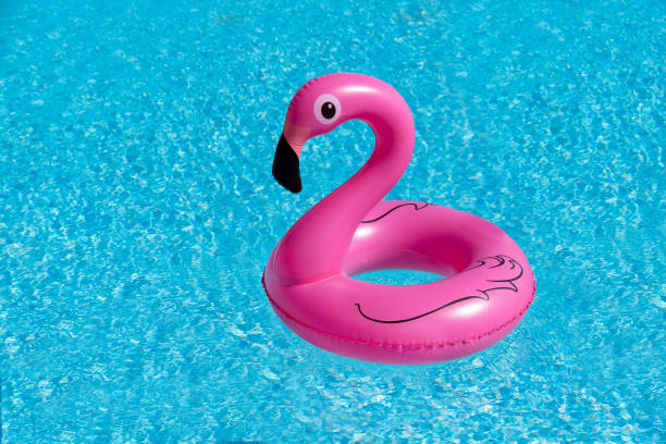 istock Pink flamingo inflatable in a swimming pool 1176870141