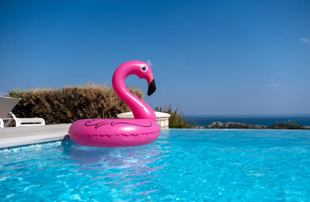 istock Pink flamingo inflatable in a swimming pool 1176870180