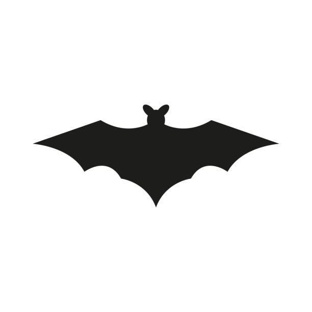 ilustrações, clipart, desenhos animados e ícones de silhuetas do bastão no fundo branco - bat cartoon halloween wing