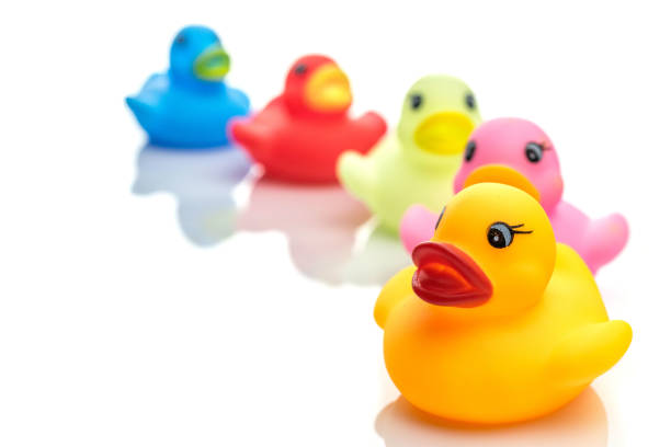 Yellow duck. Rubber toy isolated on white background