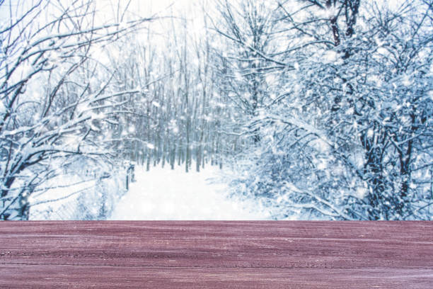 istock Wooden floor and defocused winter landscape on background 1176877007