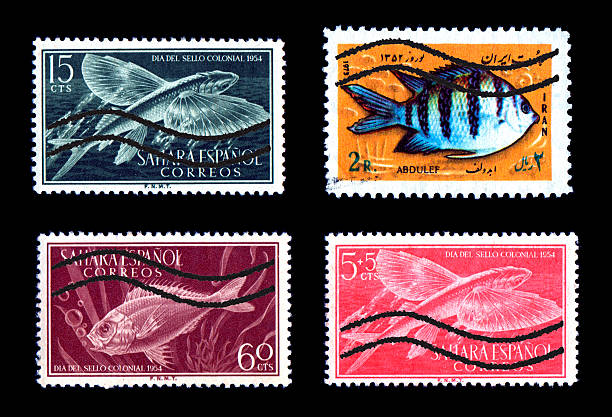 istock Group of canceled colorful fish stamps 117688559
