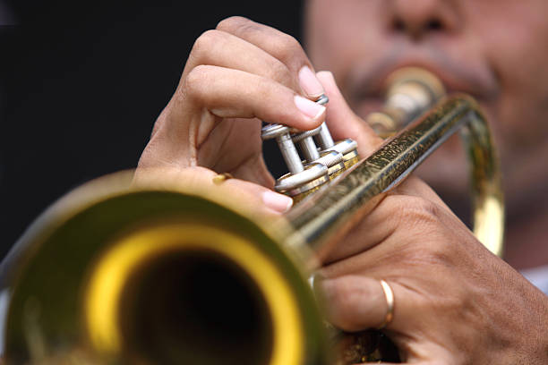 istock Musician playing his instrument 117688986